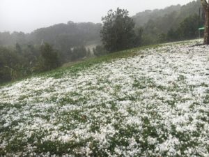 Byron Bay Hail Stone Cover